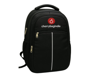 College Bags Manufacturer
